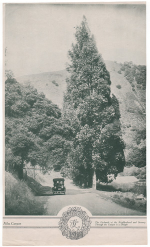 Niles Canyon